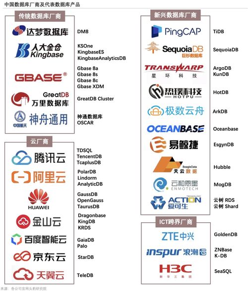 九圖縱覽2022年中國數據庫產品策略 數字文化創意內容應用服務報告解讀